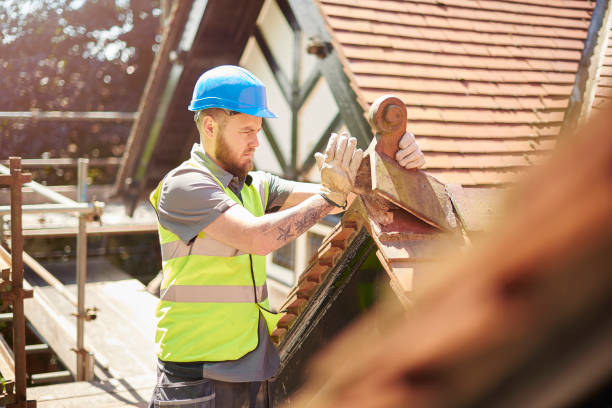 Roof Gutter Cleaning in Muse, PA