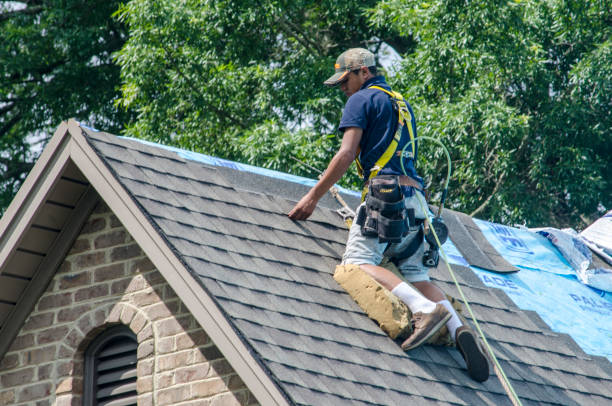 Best Shingle Roofing Installation  in Muse, PA
